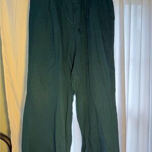 Torrid Teal Relaxed Pants